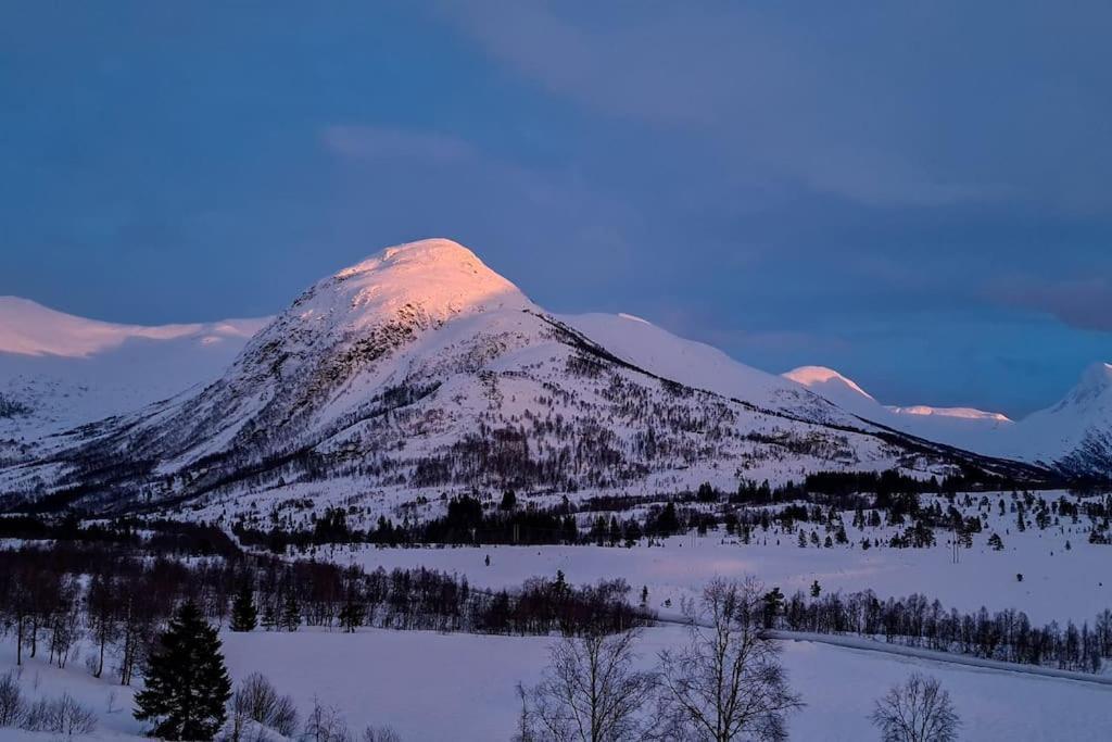 Holiday Home Among The Pearls Of Norway Странда Екстер'єр фото