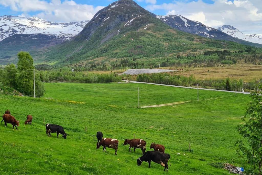 Holiday Home Among The Pearls Of Norway Странда Екстер'єр фото