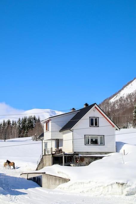 Holiday Home Among The Pearls Of Norway Странда Екстер'єр фото