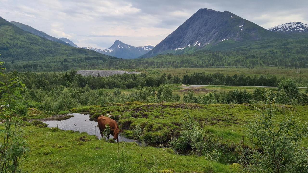 Holiday Home Among The Pearls Of Norway Странда Екстер'єр фото