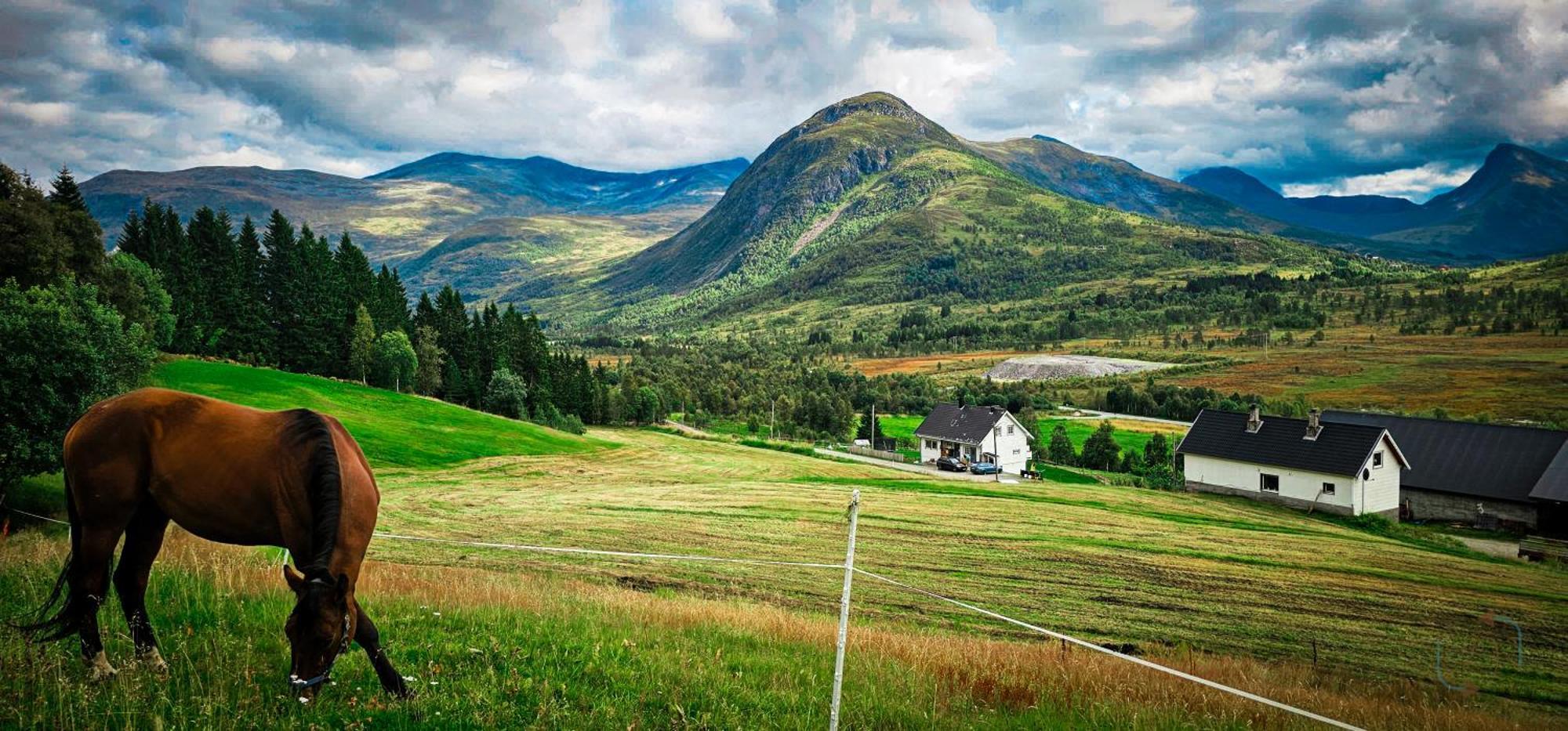 Holiday Home Among The Pearls Of Norway Странда Екстер'єр фото